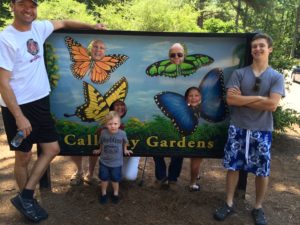 Hmm . . . not sure about SOME of those butterflies . . . 