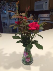 Knock out roses from our yard in a sweet little hand painted vase from Callaway Gardens