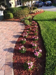 Peach impatiens, blooming white hostas, and pink and white begonias :)